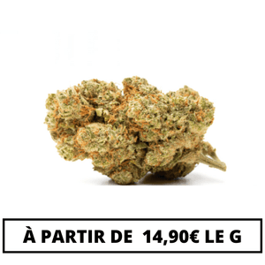 Amnésia Kush HPE | 24% HPE