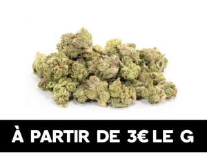 CADEAU - small bud - 15G