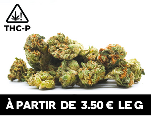 Small Buds THCP | 19% THCP