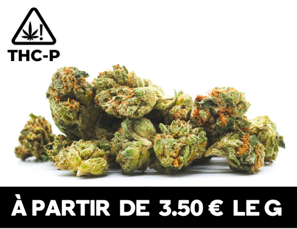 Small Buds THCP | 19% THCP
